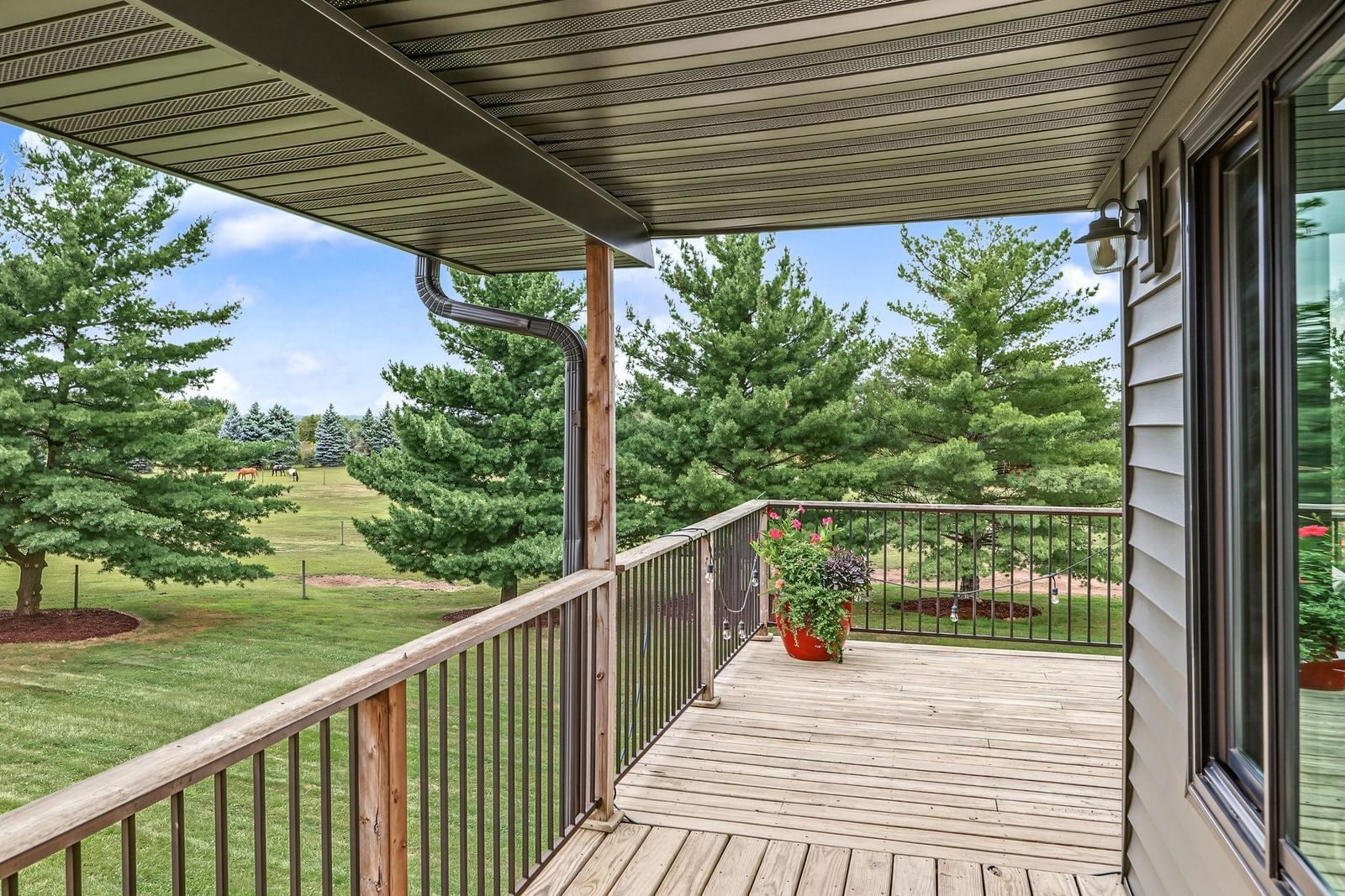 Property Photograph 39