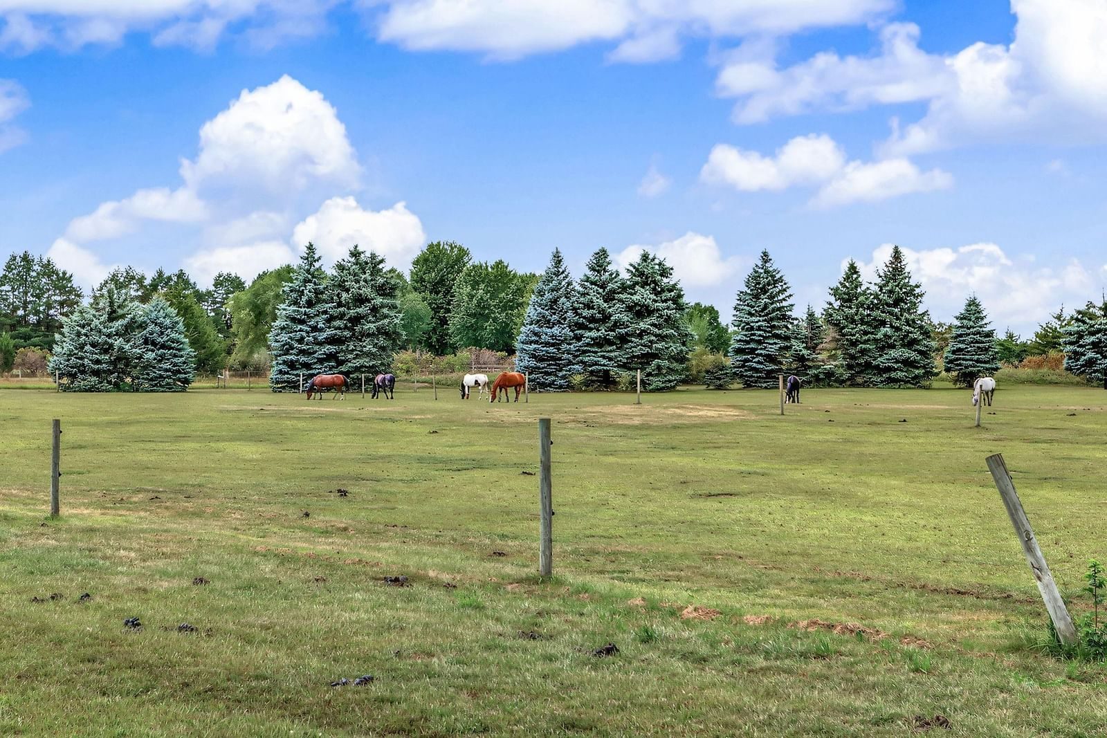 Property Photograph 60