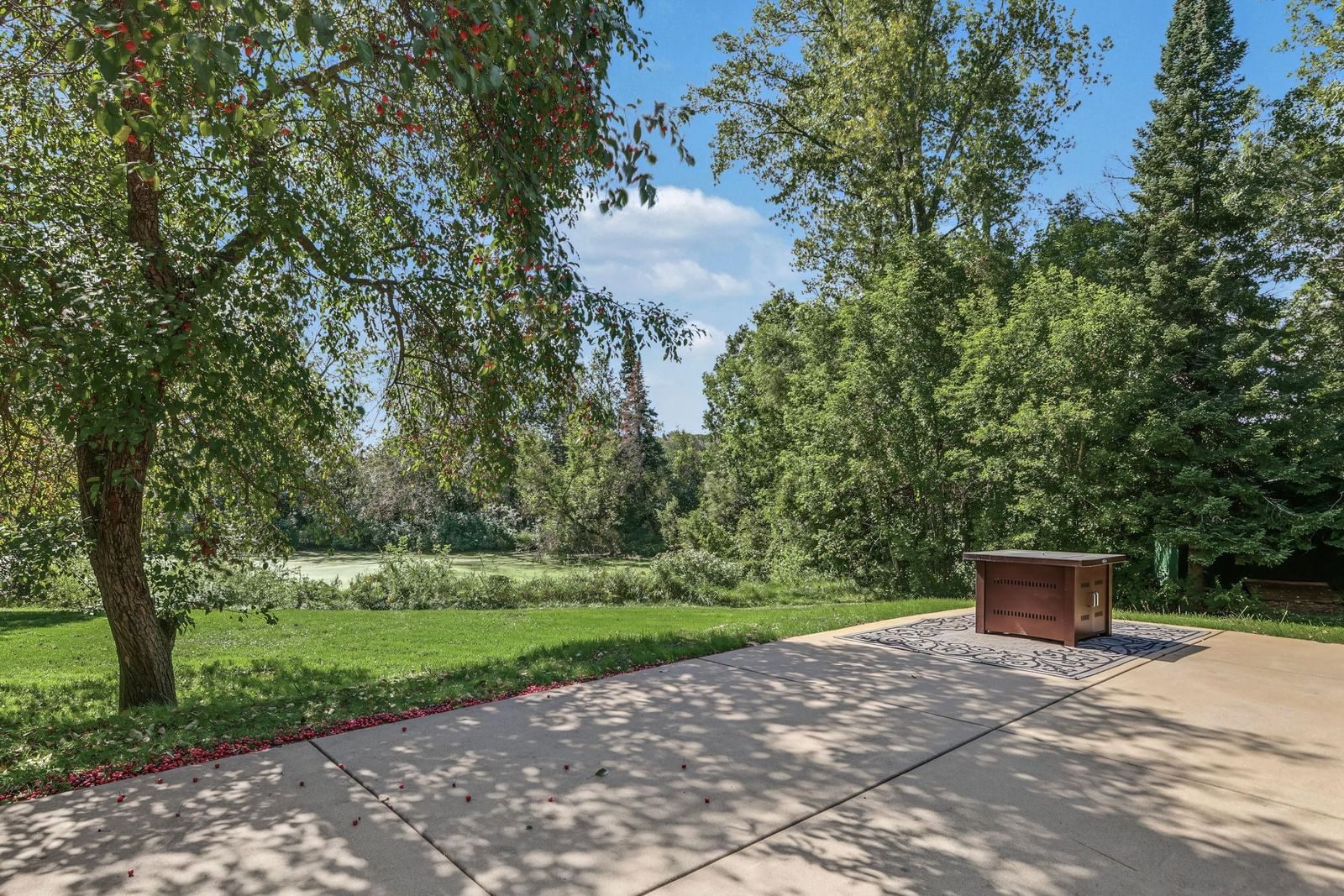 Property Photograph 38