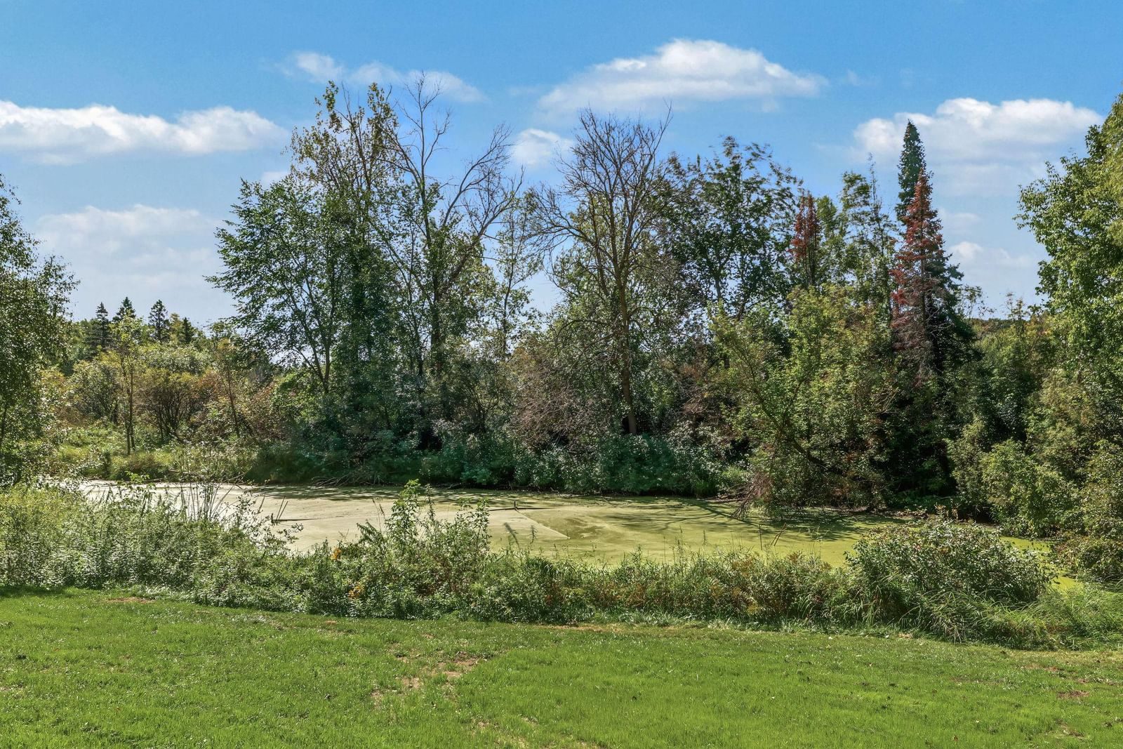 Property Photograph 39