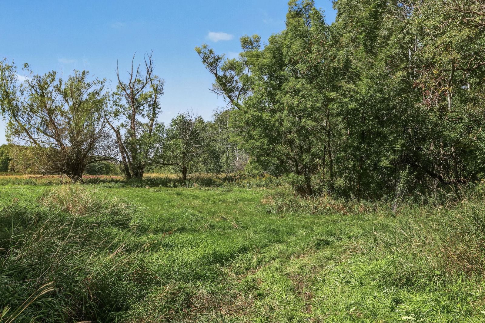 Property Photograph 41