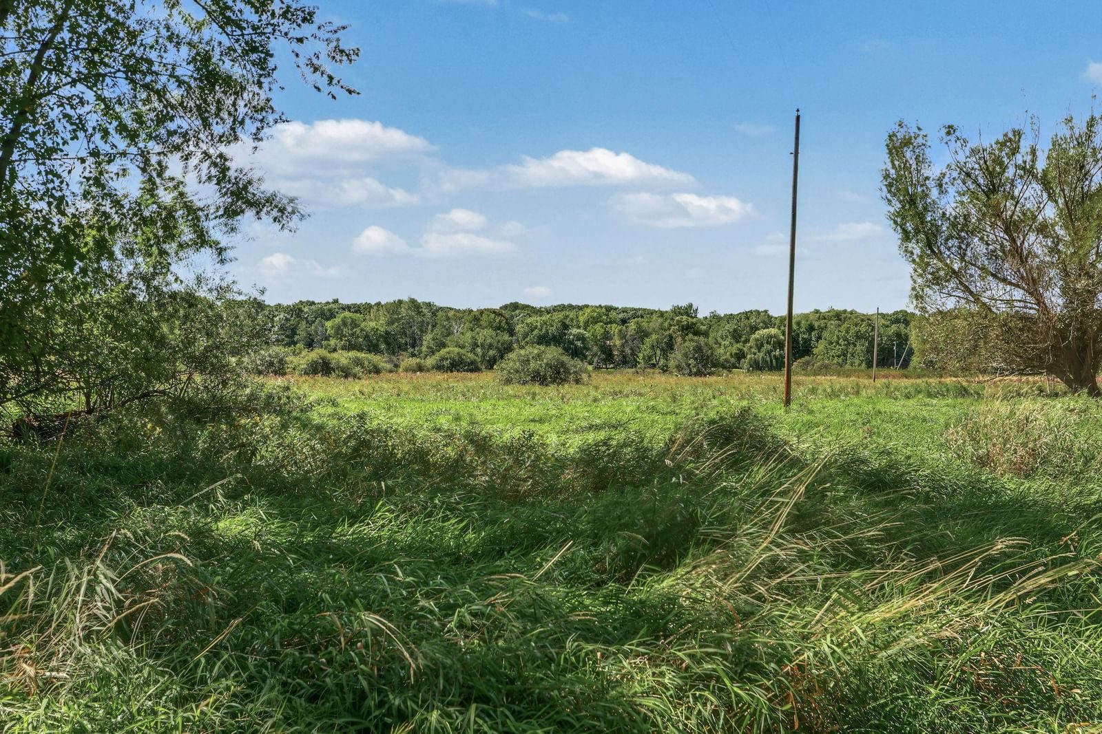 Property Photograph 42