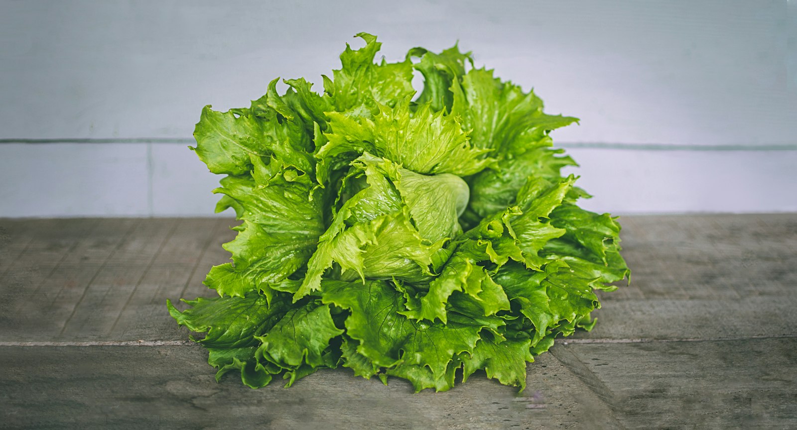 A fresh head of green leaf lettuce on a wooden table